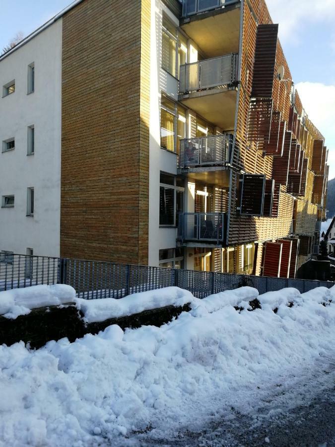 Rodinny Apartman Harrachov 606 Екстер'єр фото