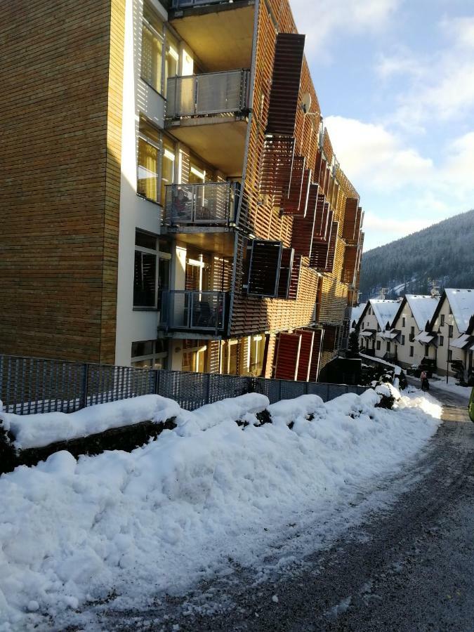 Rodinny Apartman Harrachov 606 Екстер'єр фото