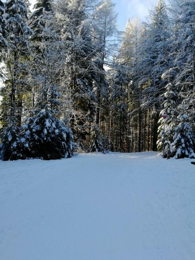 Rodinny Apartman Harrachov 606 Екстер'єр фото